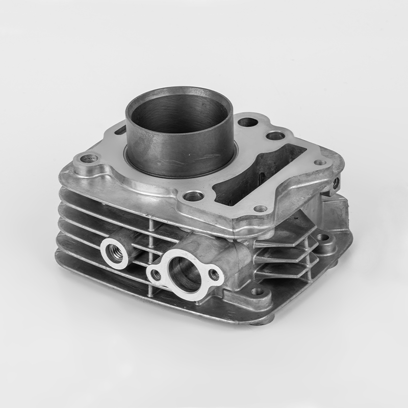 TVS110 (Φ53.5) Motore TVS ad alte prestazioni