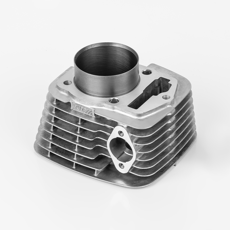 Ricambi auto Honda CRF230/240 (Φ65.5/67).