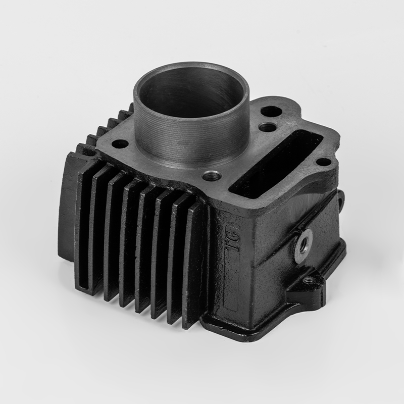 Blocco motore in ghisa DY90 (Φ47).