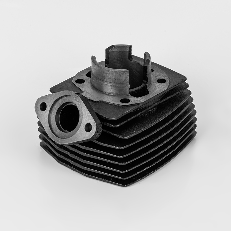 VOGVE (Φ40) è adatto per accessori per cilindri motociclistici in ghisa