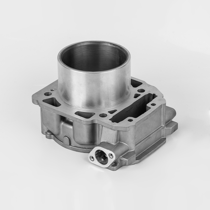 Serie durevole del cilindro del motore Liangzi 1000 (Φ91) Bombardier 1000