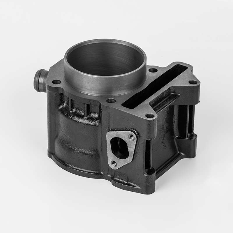 Accessori per cilindri in ghisa JN250/300 (Φ72/75).