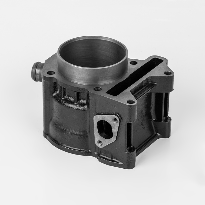 Cilindro in ghisa resistente JN250/300 (Φ72/75).