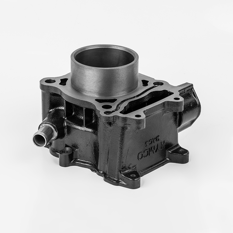 Serie durevole di cilindri in ghisa BAC5 (Φ66).