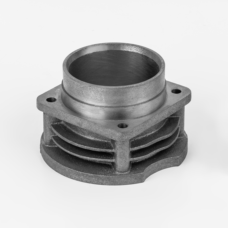 Cilindro durevole ad alta resistenza BW125 (Φ65) per compressore d'aria per accessori moto